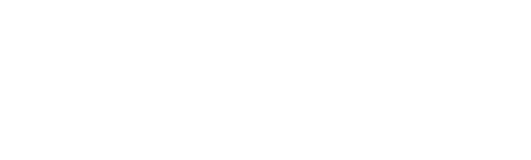 FahrerWerk Logo – Fahrlehrerausbildungsstätte